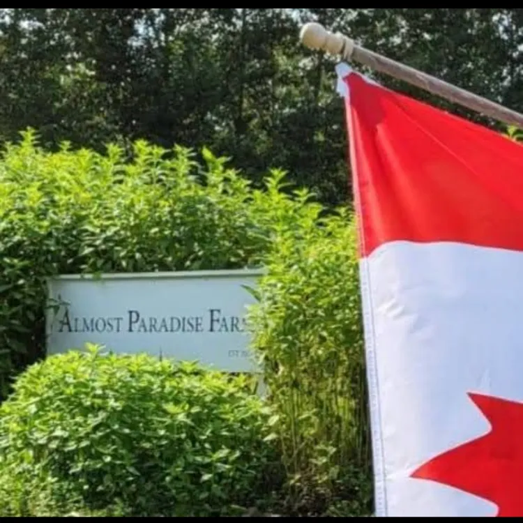 Almost Paradise Farm