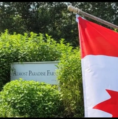 Almost Paradise Farm