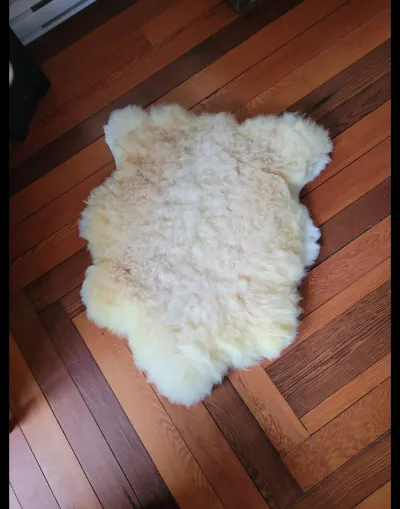 Sheep Hide